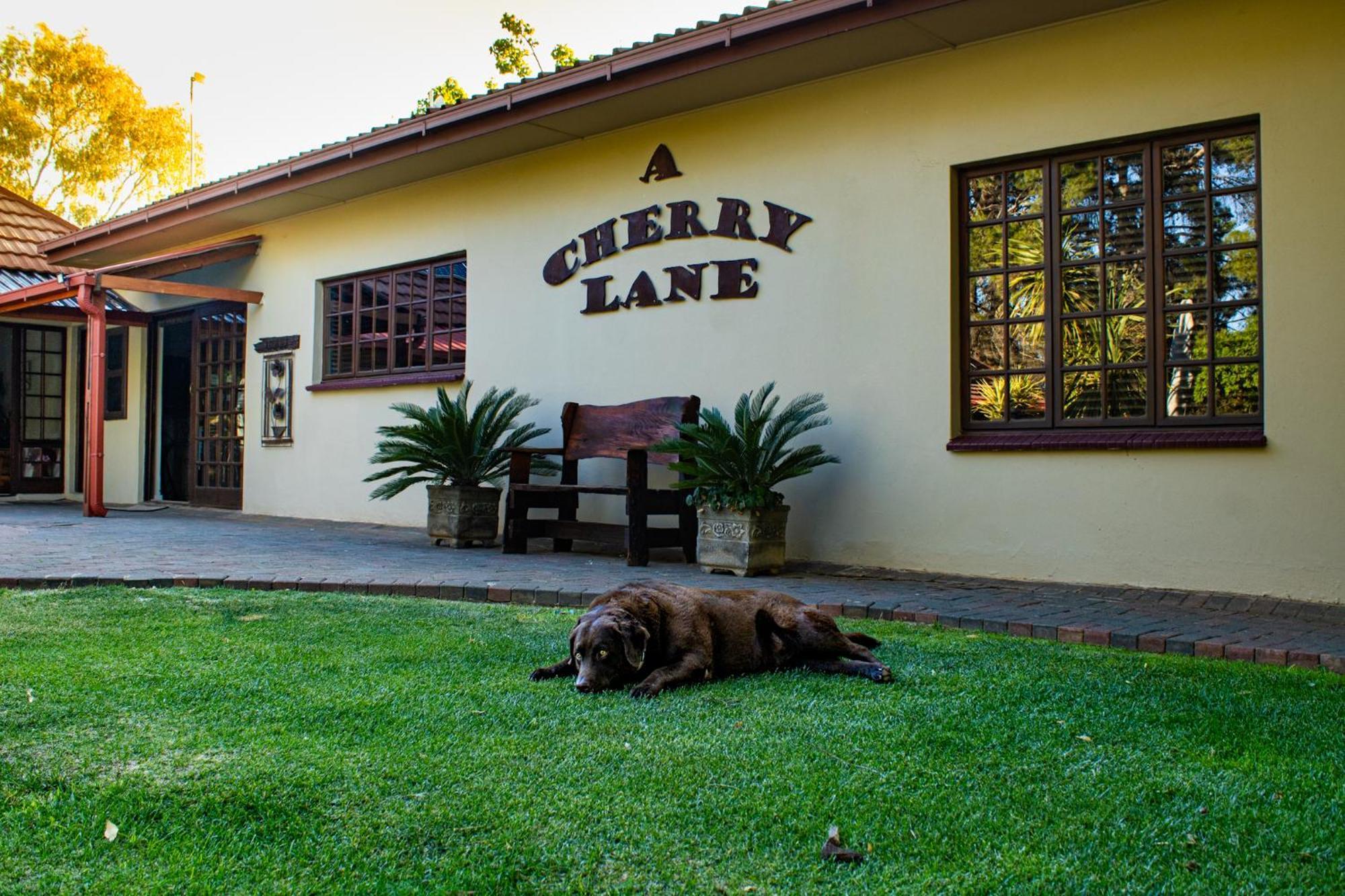 A Cherry Lane Self Catering And B&B Bloemfontein Buitenkant foto
