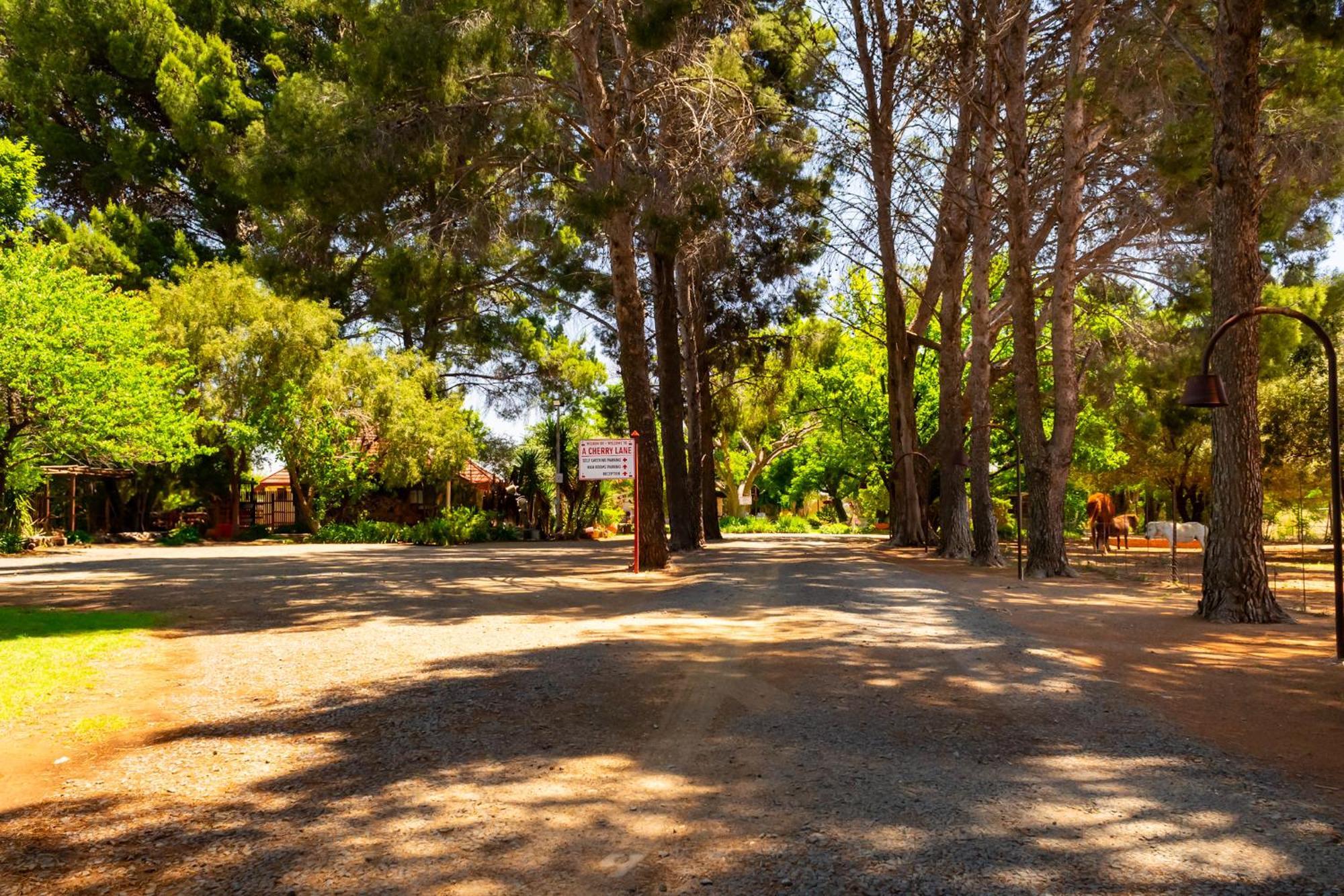 A Cherry Lane Self Catering And B&B Bloemfontein Buitenkant foto