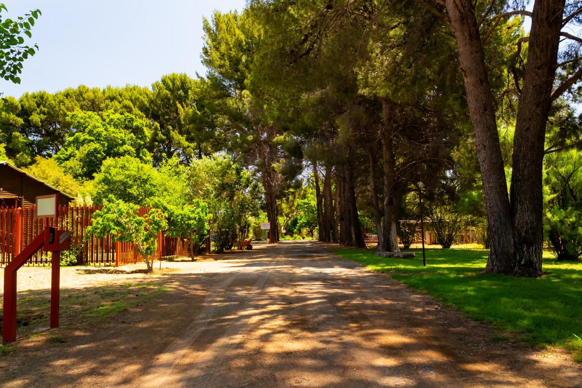 A Cherry Lane Self Catering And B&B Bloemfontein Buitenkant foto